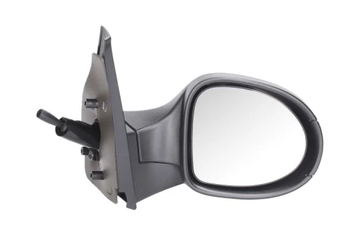 BLIC 5402-09-2002208P Wing mirror