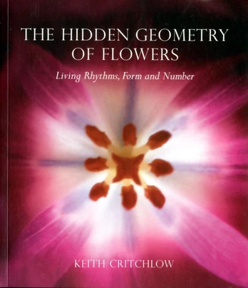 Hidden Geometry of Flowers