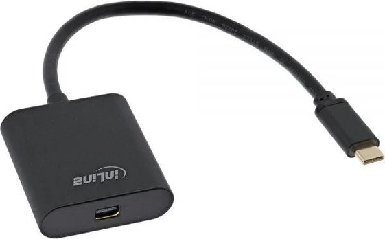 USB adapteris InLine USB-C - DisplayPort mini Juodas (64105B)