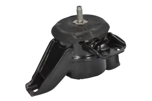 Variklio montavimas LEMFÖRDER 43056 01
