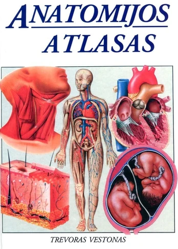 KNYGA Anatomijos atlasas