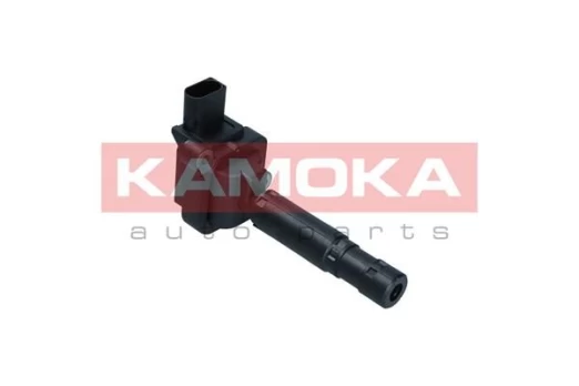Ritė, uždegimas KAMOKA 7120091