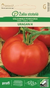 Valgomieji pomidorai Uragan H