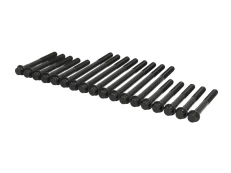 REINZ 14-32388-01 Cylinder head bolt set kaina