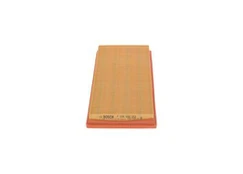 Oro filtras BOSCH F026400053 kaina