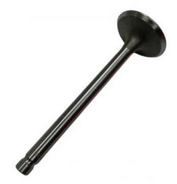VALVE, EXHAUST, MTD