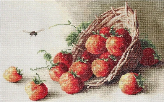 Basket of strawberries SB497
