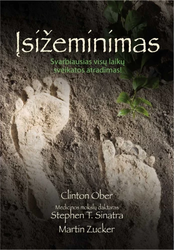 KNYGA Įsižeminimas