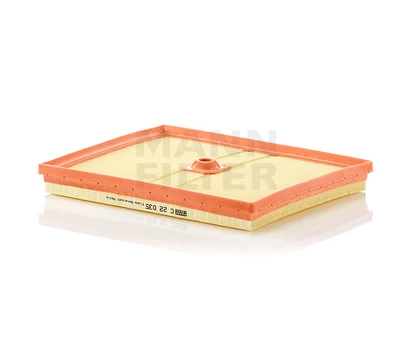 Oro filtras C22035