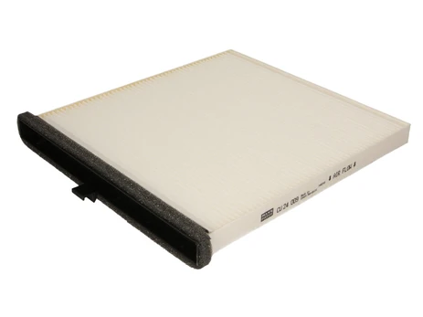 Salono filtras DENSO DCF578P