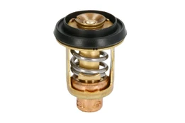 Thermostat, coolant SIERRA 18-3672 kaina