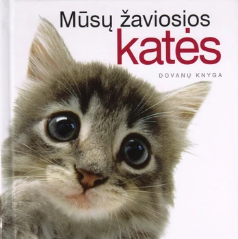Mūsų žaviosios katės