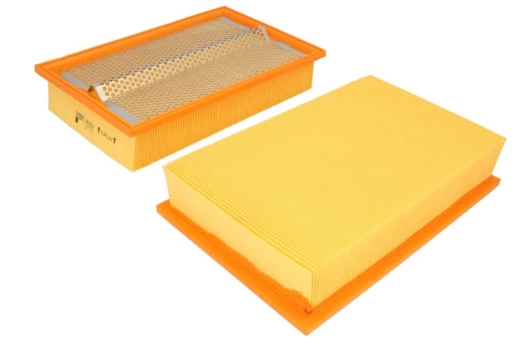 Salono filtras FLEETGUARD AA2984