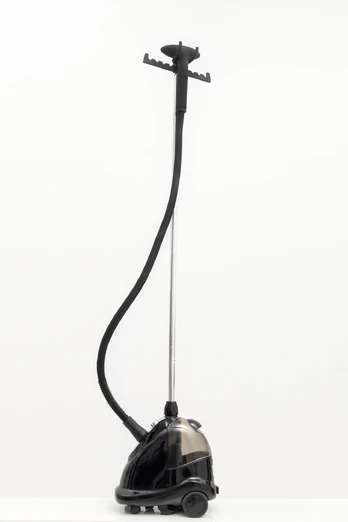 Drabužių garintuvas SteamOne PRO2000, 2000 W