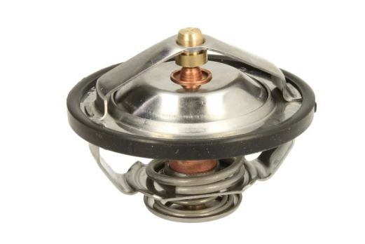 termostatas, aušinimo skystis THERMOTEC D2CA009TT