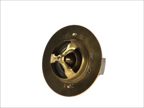 termostatas, aušinimo skystis THERMOTEC D2DA002TT
