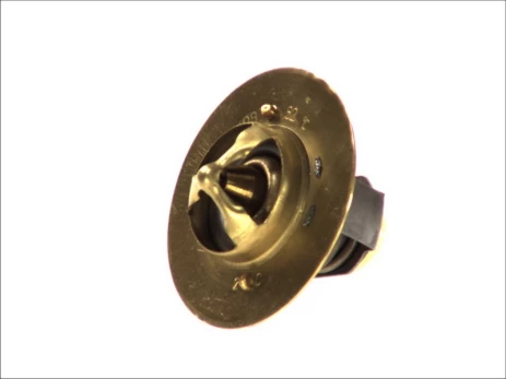 termostatas, aušinimo skystis THERMOTEC D2DA003TT