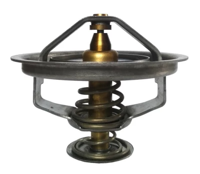 termostatas, aušinimo skystis THERMOTEC D2FE001TT