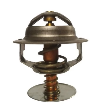 termostatas, aušinimo skystis THERMOTEC D2MT001TT