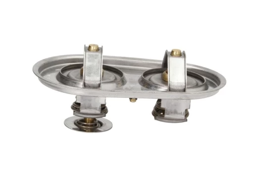 termostatas, aušinimo skystis THERMOTEC D2SC009TT