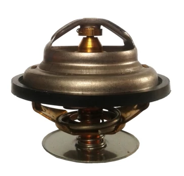 termostatas, aušinimo skystis THERMOTEC D2ZE001TT