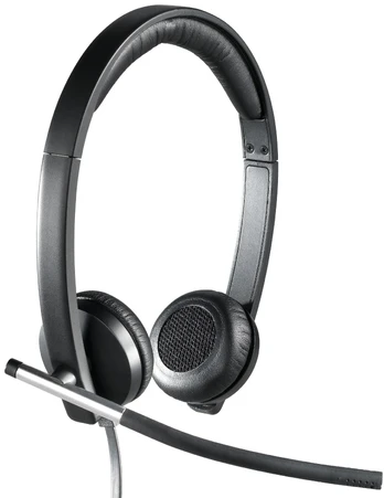 Ausinės Logitech H650e