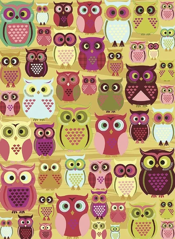 Dėlionė Ravensburger Owls 105281