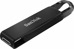 MEMORY DRIVE FLASH USB-C 256GB/SDCZ460-256G-G46 SANDISK kaina