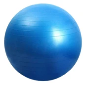 Gimnastikos kamuolys PROfit, violetinis, 75 cm kaina