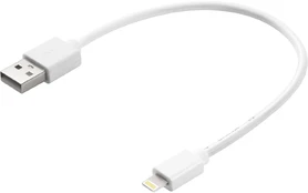 Laidas Sandberg, USB 2.0 Type A/Apple Lightning kaina