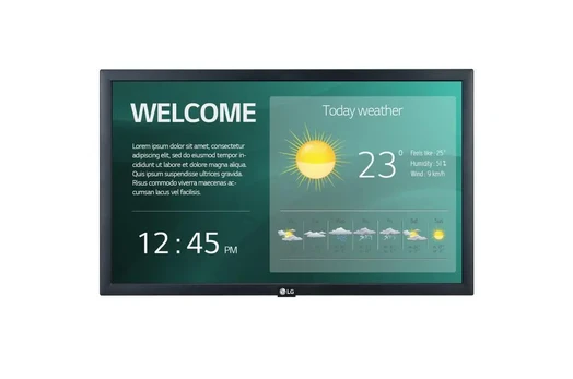 Monitorius LG 22SM3G-B