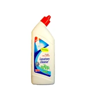 Staples Gelinis WC valiklis YPLON, 1 l kaina