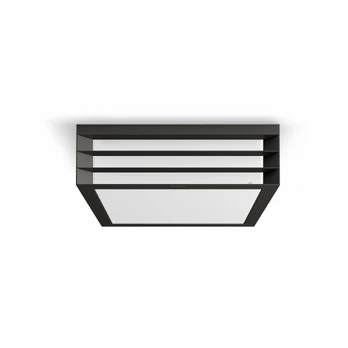 MOONSHINE ANTHRACITE CEILING LUMINAIRE PLAFOND 2X E17/ 14W IP44 ALUMINIUM/ PLASTIC