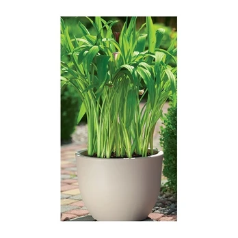 Vazonas 2731 051, plastikinis, Ø 34.5 cm, rudas