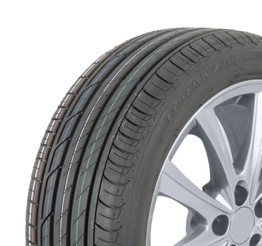 BRIDGESTONE T001 225/50 R18 95 W