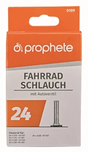 Proozprophete Kamera dvir. PROPHETE 0189