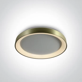 Lubinis LED šviestuvas 62130L/BBS/W