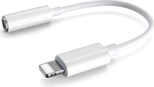 Platinet adapteris Lightning – 3,5 mm (45645) kaina