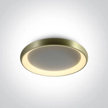 Lubinis LED šviestuvas 62144N/BBS/W