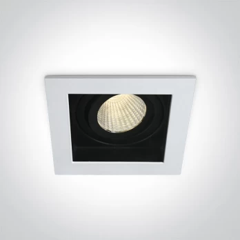 Įmontuojamas kryptinis LED šviestuvas 51112E/W/W