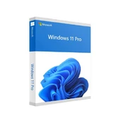 Software|MICROSOFT|Win Pro FPP 11 64-bit Eng Intl USB|Win Pro|Retail|HAV-00163 kaina