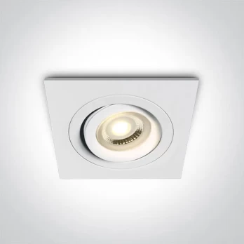 Įmontuojamas kryptinis šviestuvas 51105ABG/W
