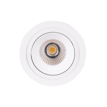 Įmontuojamas kryptinis LED šviestuvas Hiden WH