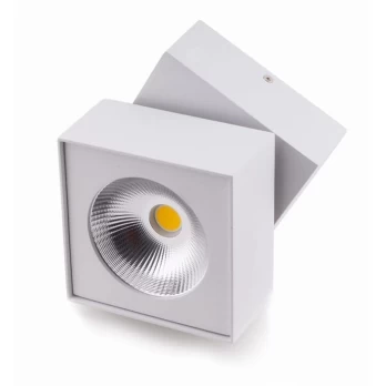 Lubinis LED šviestuvas Artu WH