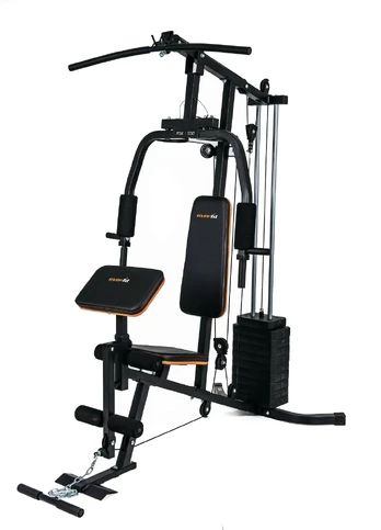 Daugiafunkcinis treniruoklis EverFit MSK500