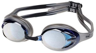 Plaukimo Akiniai FASHY MIRROR, Silver kaina