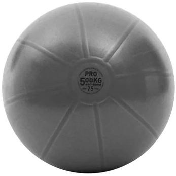 Gimnast. kamuolys 75cm TOORX PRO AHF-149