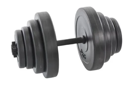 Hantelis 20 kg kaina