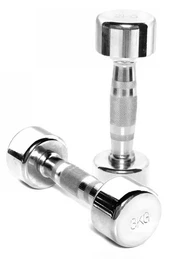 Svarmuo Toorx Chromed Dumbbell, 3 kg kaina
