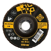 Šlifavimo diskas Forte Tools, 125 mm x 22.23 mm kaina